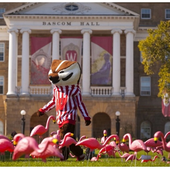 Pretty Firm on Price! University of Wisconsin Madison Forward FC Flamingo Scarf - Picture 3 of 8